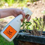 Ségolène Royal bannit le Roundup Monsanto des jardineries