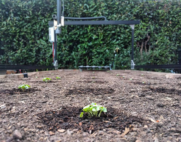 Farmbot, le robot qui cultive des légumes pour vous 