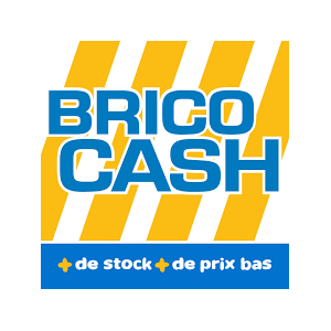 Le développement de la franchise Brico Cash