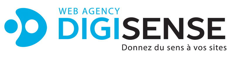 www.digisense.fr