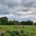 La Ferme Biologique du Grand Bois - 3
