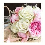 Histoires Naturelles - 2