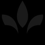 LEPIDUS Création - 1