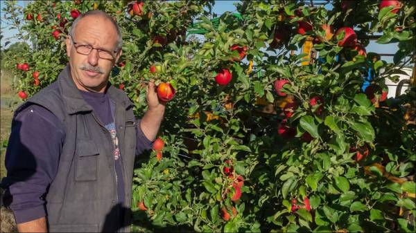 Les Vergers du Bel Air