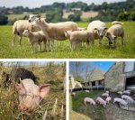 La Ferme Durbois - 1