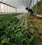 Ferme du Loup Ravissant - 1