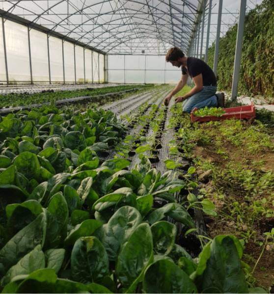 Ferme du Loup Ravissant