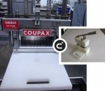 Coupax Bermon - 2