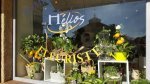 Hélios Pompes Funèbres - Fleuriste - 1