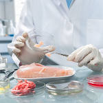 Procéder au rappel d'un produit alimentaire