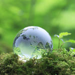 Éco Popai : le 1er standard d'écoconception pour les PLV